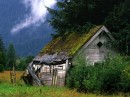 Shed in Field * xat.com Image Optimizer * 1024 x 768 * (152KB)